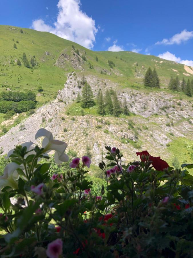 La Ferme Des étroits * Valloire